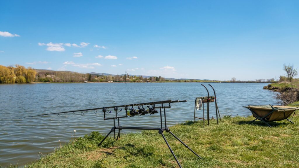 sesiones de carpfishing
